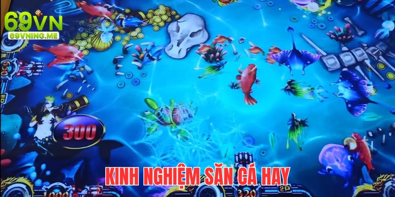 Bỏ túi các chiến thuật đi săn bất hủ từ giới cao thủ lâu năm