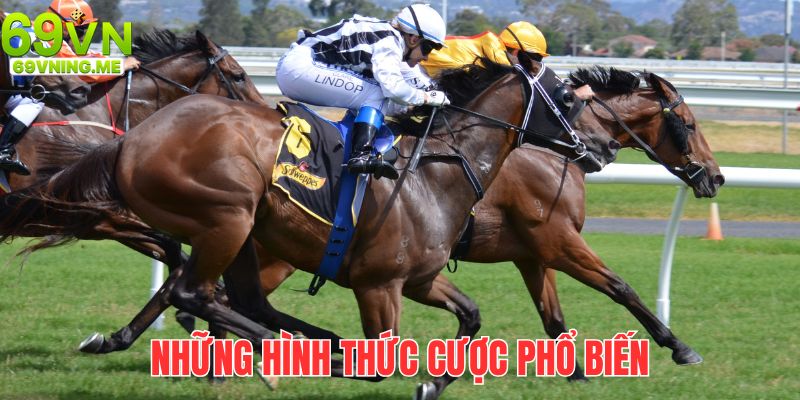 Những hình thức cá cược đua ngựa mới nhất hiện nay 